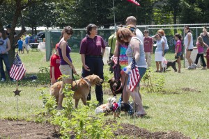 Sandyvale Dog Park