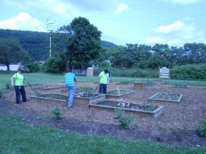 Sandyvale Community Gardens